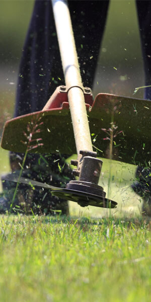 Brushcutter