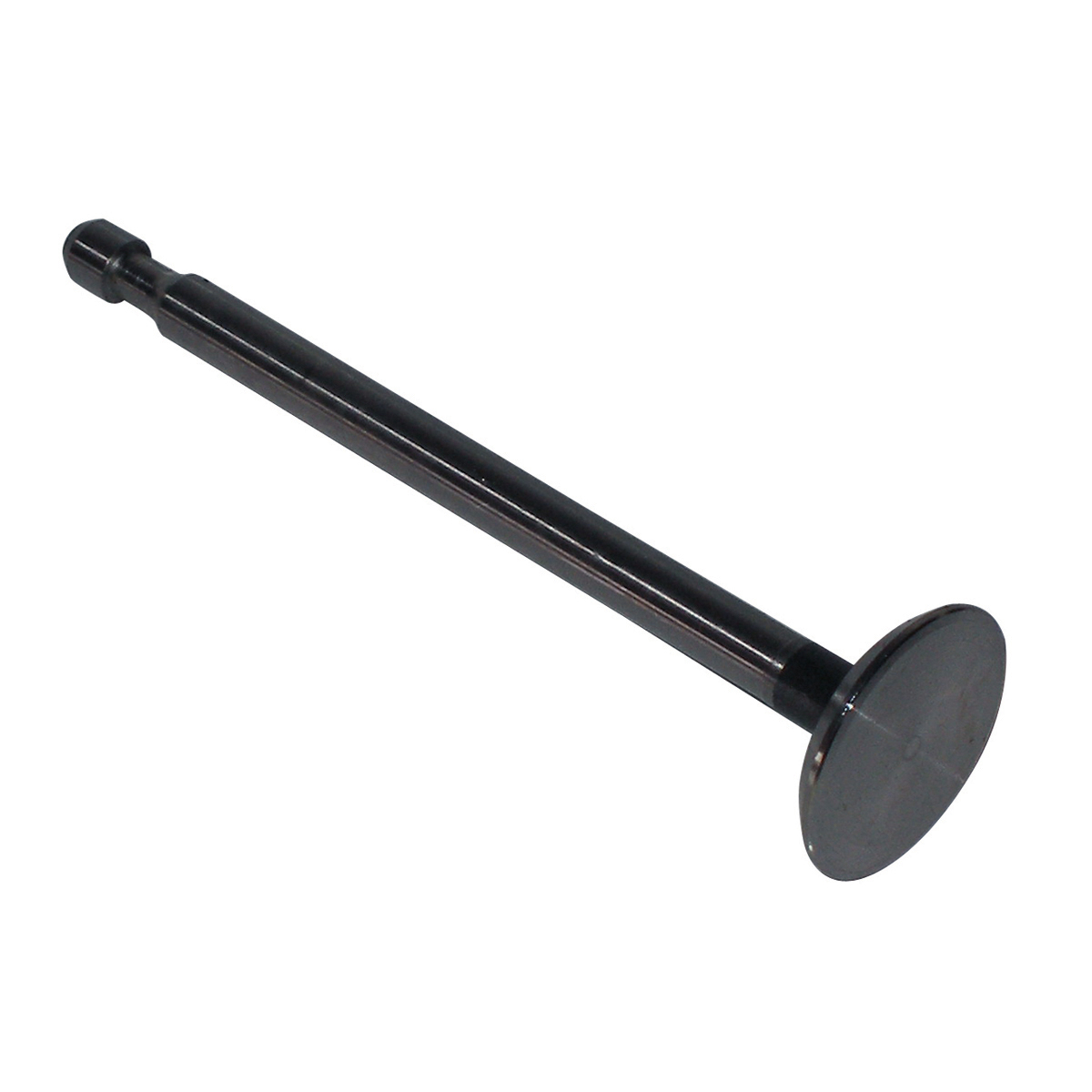 Exhaust Valve