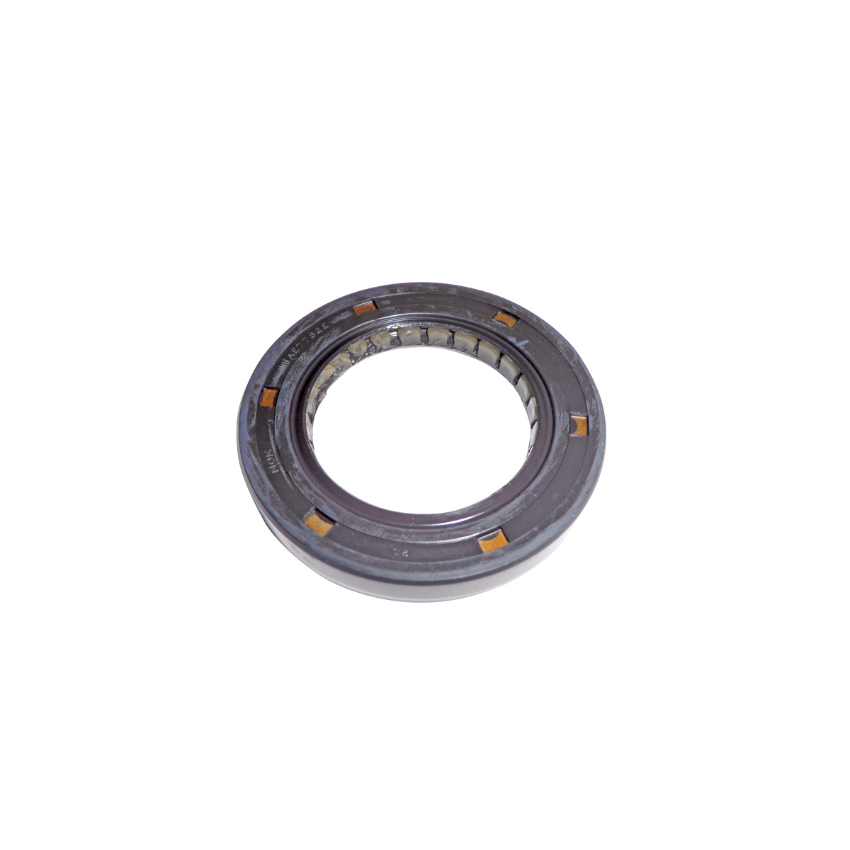 Oil Seal