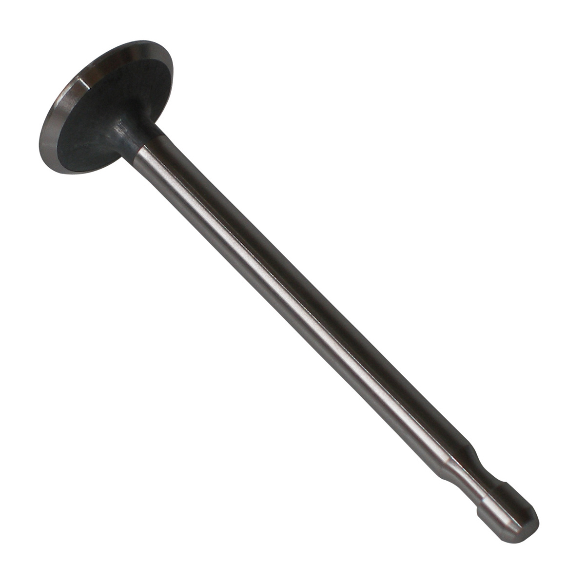 Exhaust Valve