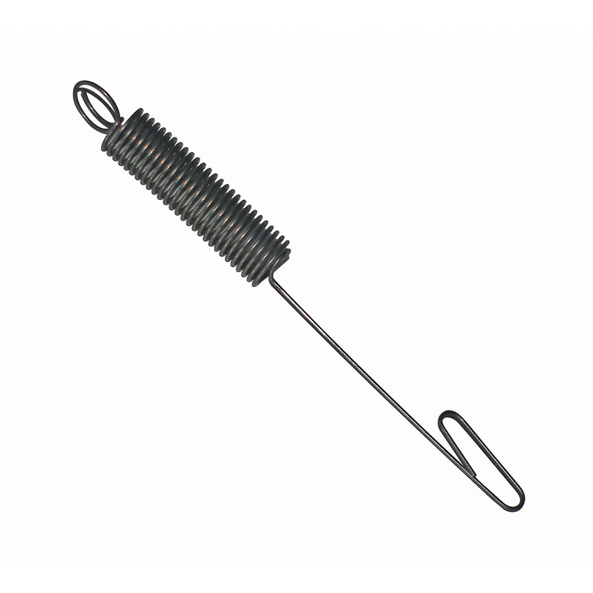 Governor Spring