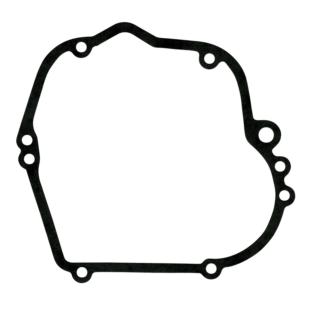 Crankcase Gasket