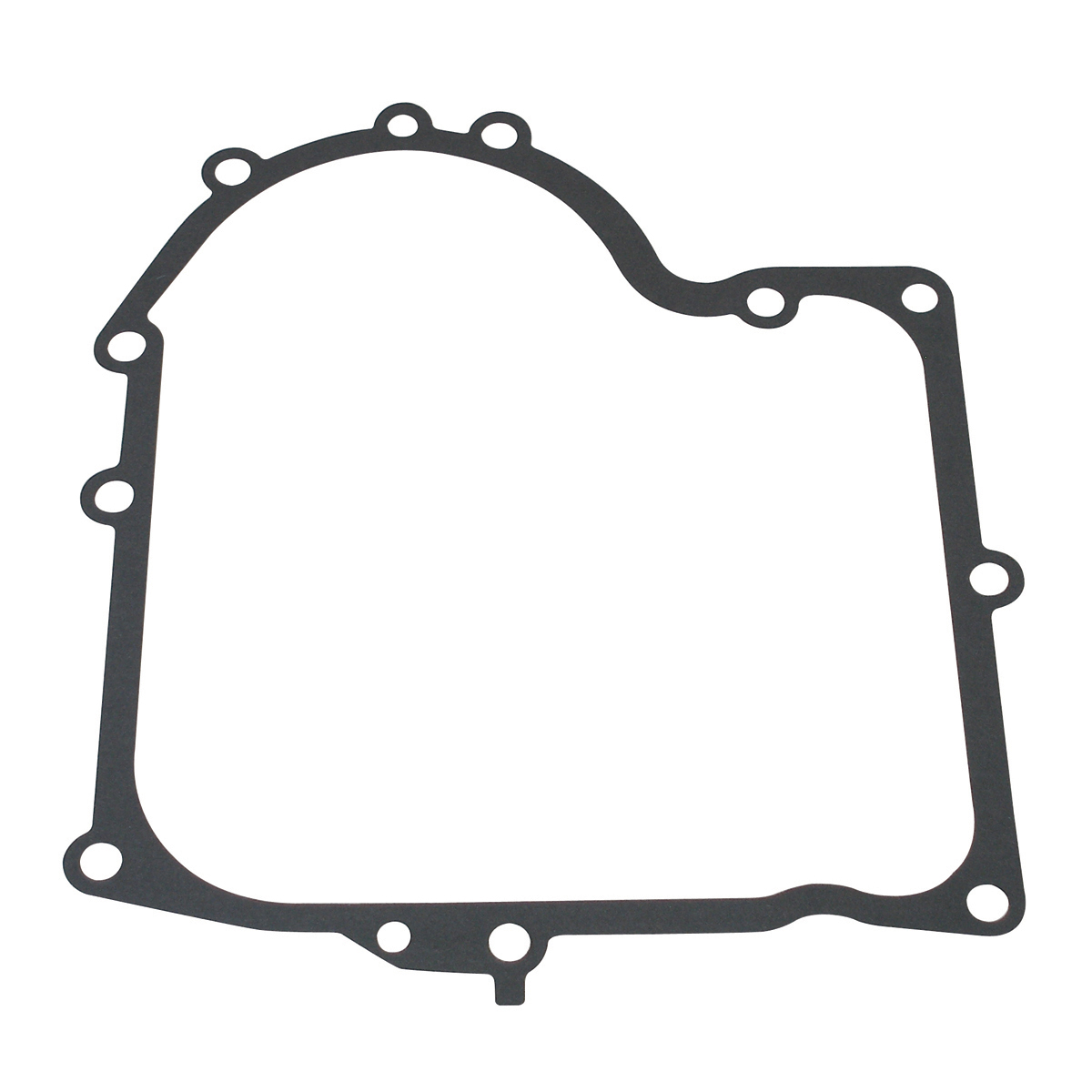Crankcase Gasket (692226 X 10)