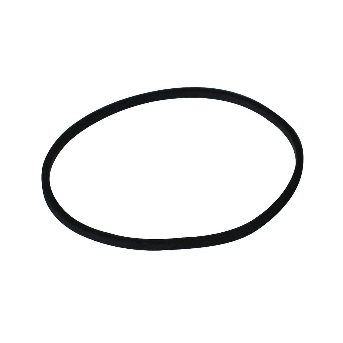 Genuine Float Gasket (281165S X 5) – Briggs & Stratton