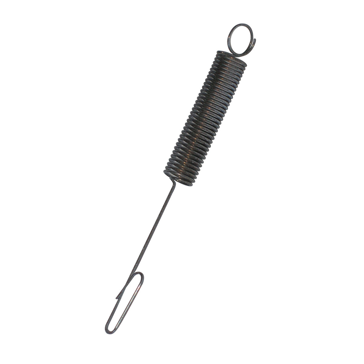 Governor Spring