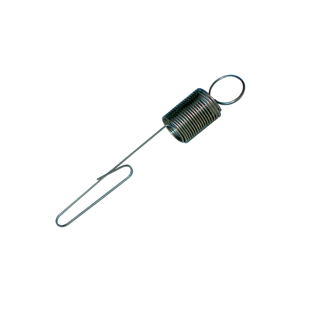 Governor Spring