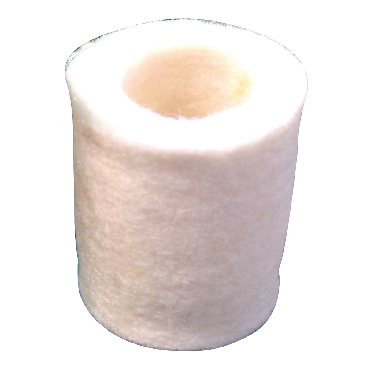 Genuine Fuel Filter – Tillotson