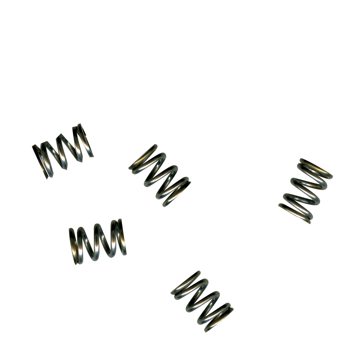 Genuine Spring Compression – 5 Pack – Walbro