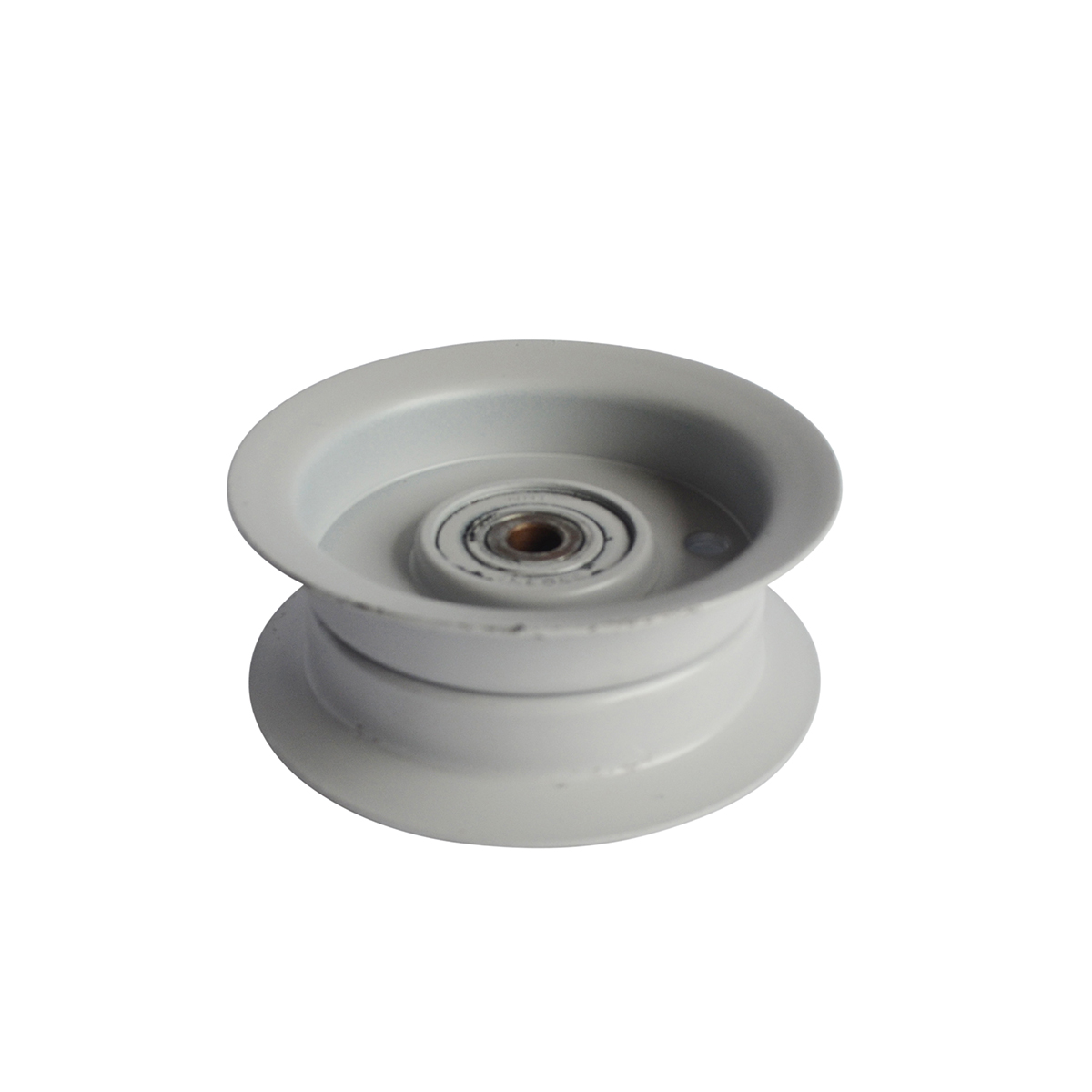 Flat Idler Pulley B1SB8245
