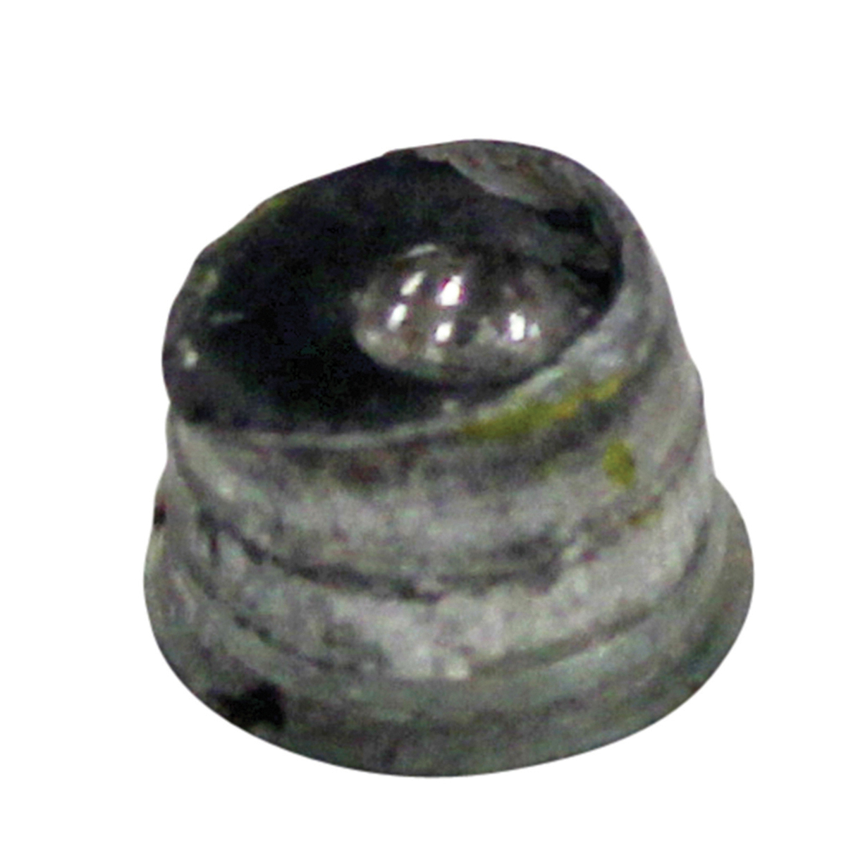 Nut – suits Falcon Grinder