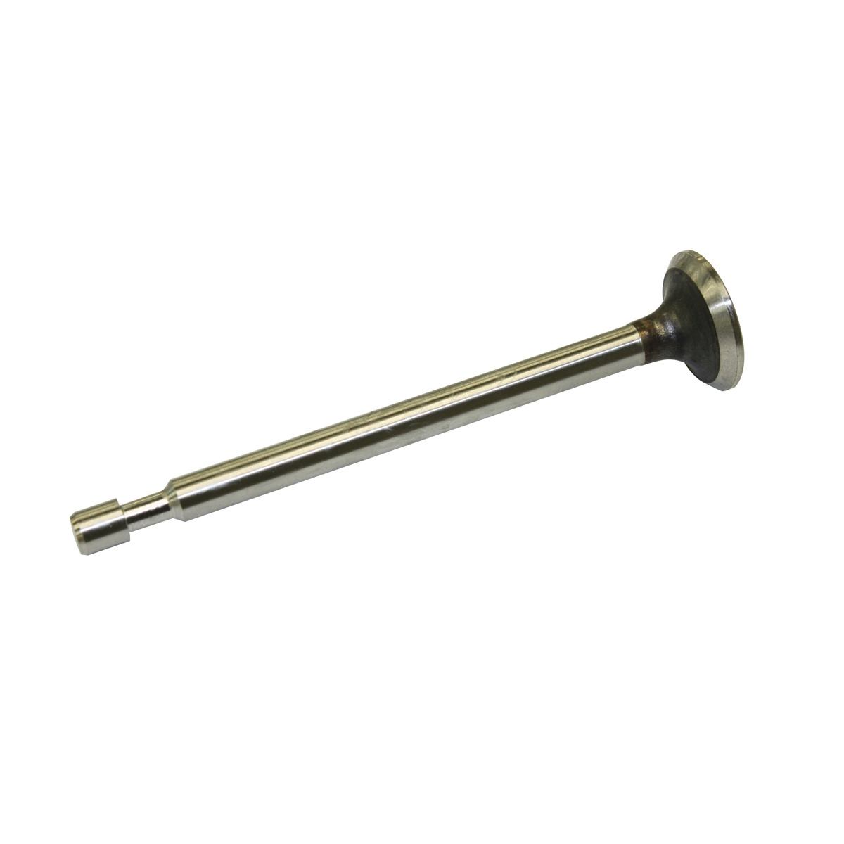 Exhaust Valve