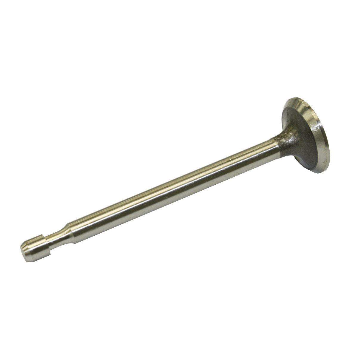 Exhaust Valve