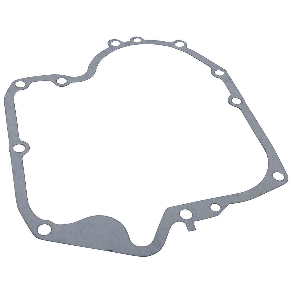 Crankcase Gasket