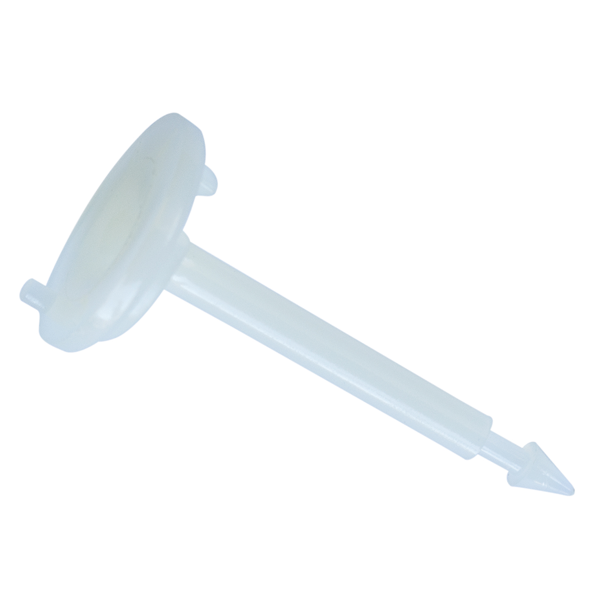 Poppet Valve
