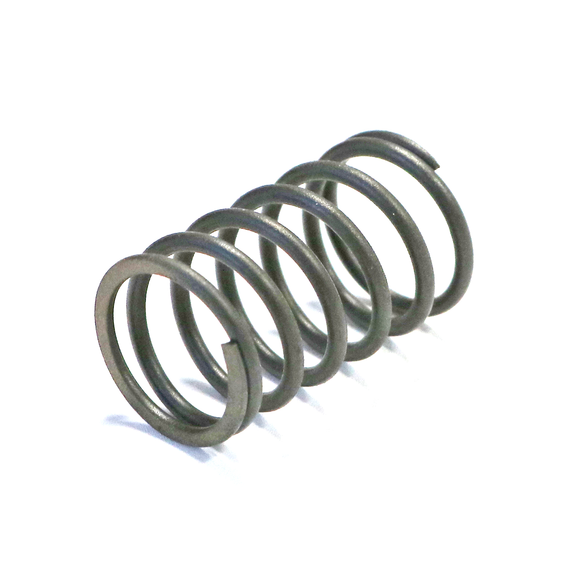 Valve Spring, suits Rato Pumps