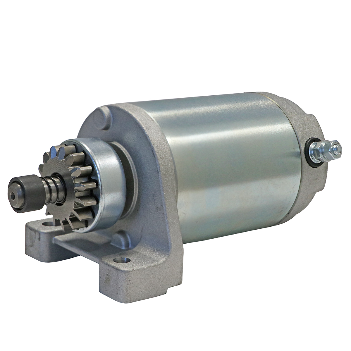 Starter Motor Assembly