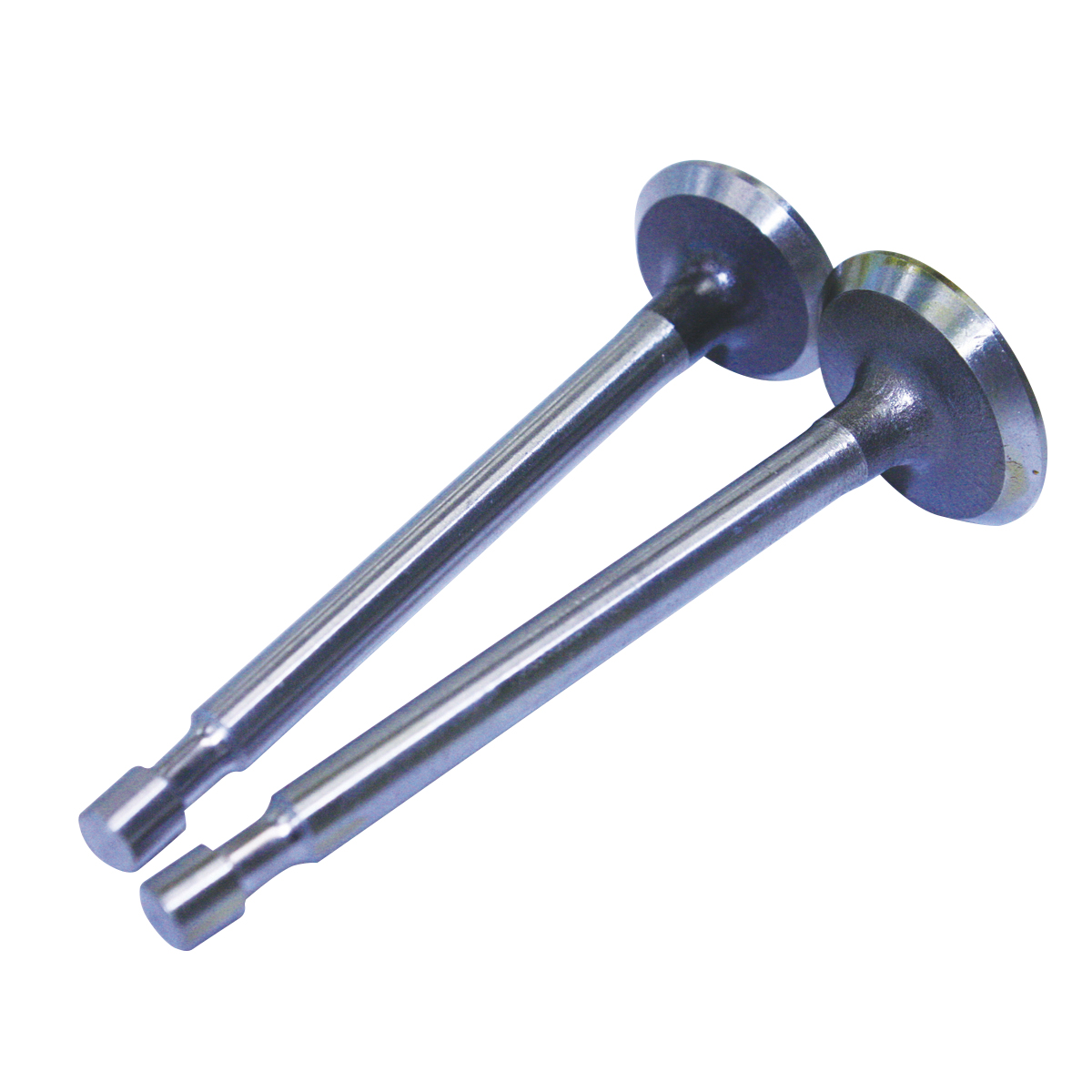 Intake/Exhaust Valve