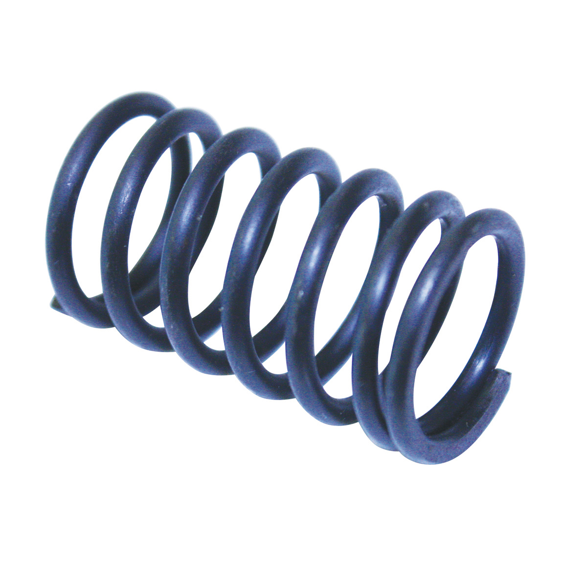 Valve Spring
