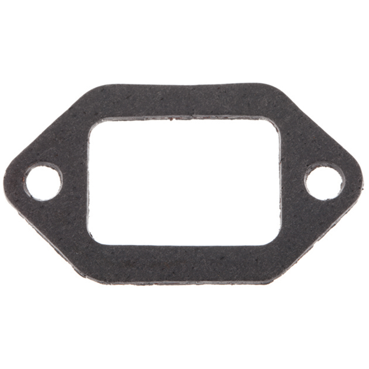 Exhaust Gasket