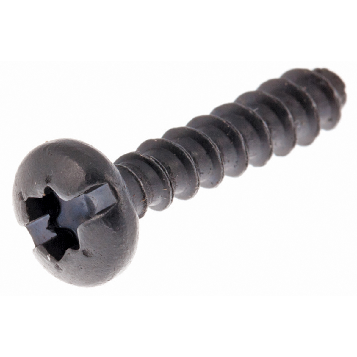 Pan Head Screw